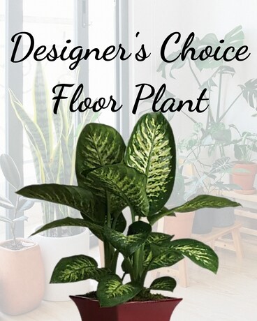 Designer's Choice Floor Plant Flower Arrangement