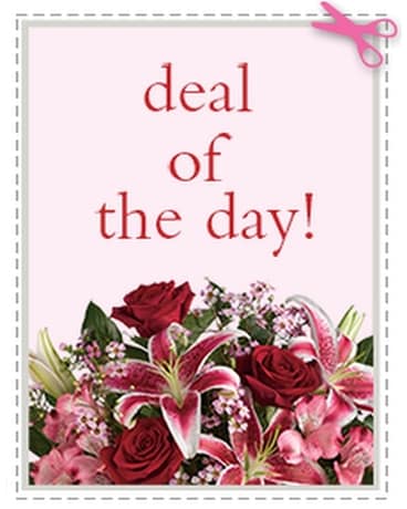 Deal of the Day Flower Arrangement