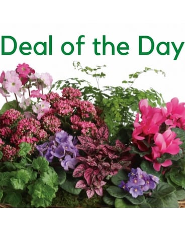 Greenery and Mixed Flower Florist Choice Flower Arrangement