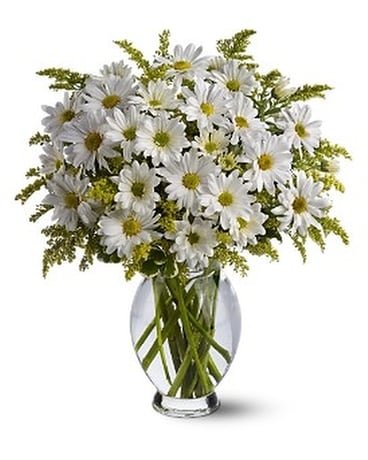 Teleflora's Daisy Days Flower Arrangement