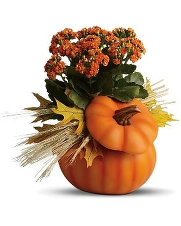 Teleflora's Harvest Pumpkin Flower Arrangement