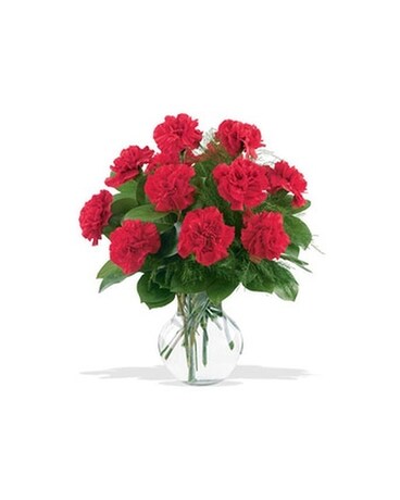 12 Red Carnations (12RDCARN) Flower Arrangement