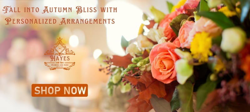 How Hayes Florist in Tampa, FL, and Surrounding Areas Can Elevate Your Floral Experience