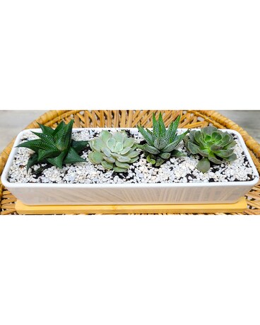 Rectangular Succulent Dish Garden Flower Arrangement