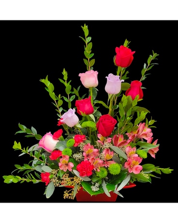 As Shown size, 20 inches height and 15 inches wide.