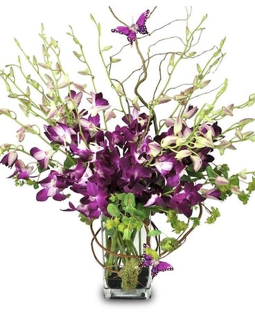 Dendro Delights Flower Arrangement