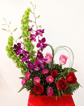 As Shown size, 21 inches height and 16 inches wide.