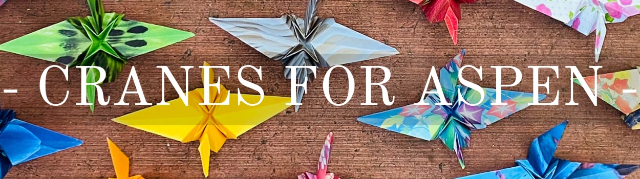 Image for The Flight of a Thousand Paper Cranes for Aspen Agnew