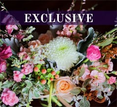Shop our Exclusive Collection