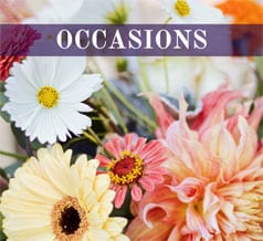 Shop Occasions