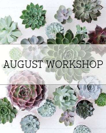 Plants Don't Succ! A Succulent Garden Workshop