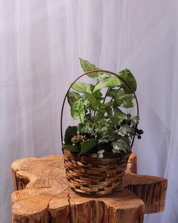 Berry Picker Basket Flower Arrangement