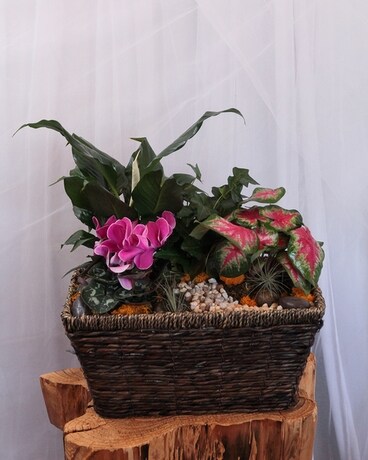 The Thank You Note Dish Garden Flower Arrangement