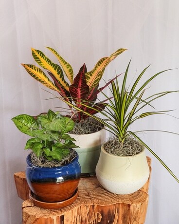 All Deco'd Out For Summer Flower Arrangement