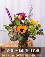 Small Tall & Classic size,  inches height and  inches wide.