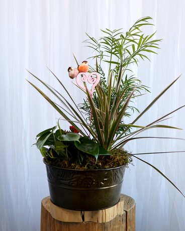 Love Birds Flower Arrangement
