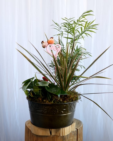 Love Birds Flower Arrangement