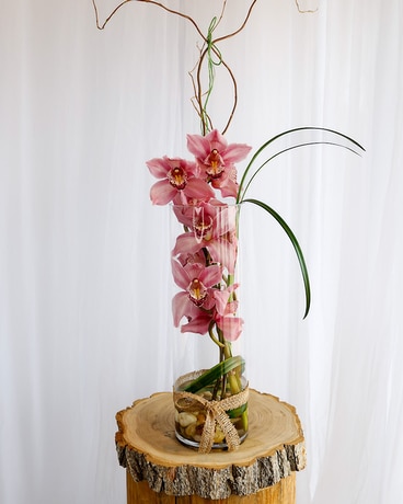 Orchid Terrarium Flower Arrangement