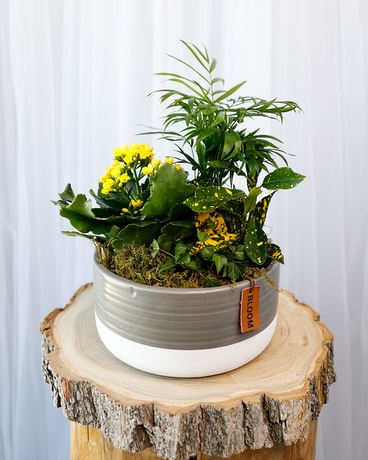 Bloom Flower Arrangement