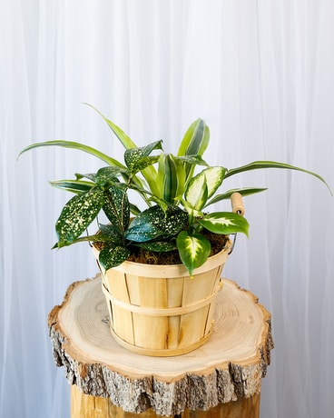 Bushell Of Spring Flower Arrangement
