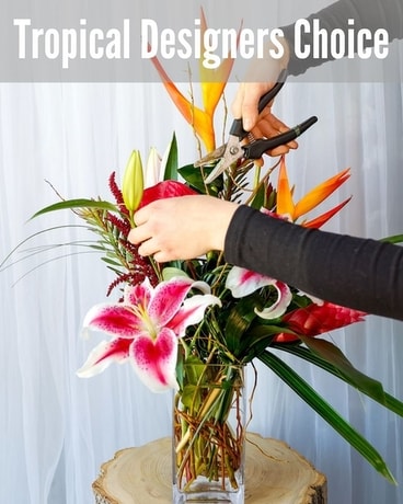 Tropical Designers Choice Arrangement Flower Arrangement