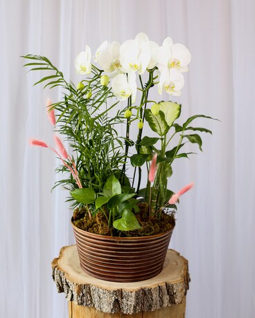 Sweet Mama Flower Arrangement