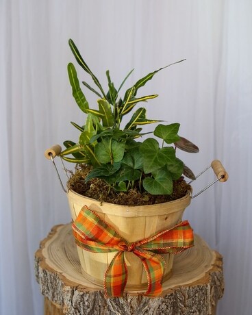 Autumn Basket Flower Arrangement