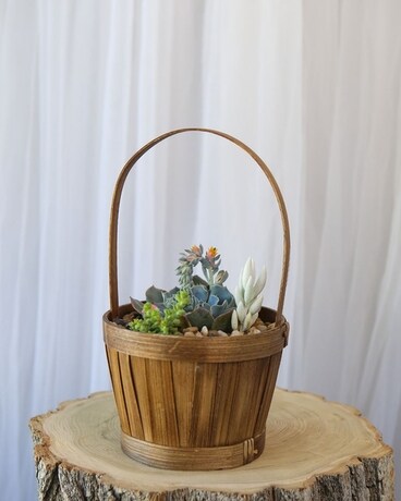 Succulent Harvest Flower Arrangement