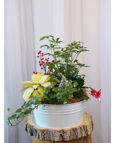Season's Greetings Flower Arrangement