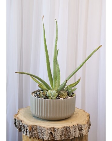 Snowfall Flower Arrangement