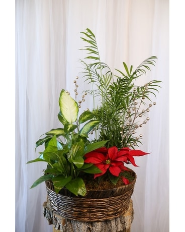 Merry & Bright Flower Arrangement