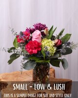 Small Low & Lush size,  inches height and  inches wide.