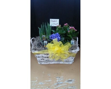 The Promise of Spring Flower Arrangement