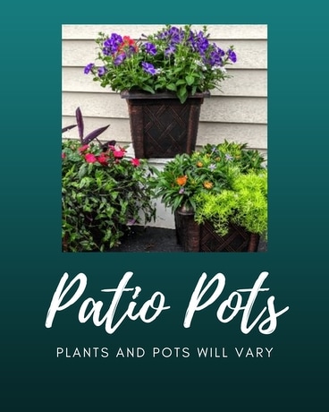 Outdoor Mixed Plants in a Tuscany Urn Flower Arrangement
