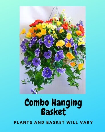 Combo Hanging Baskets Flower Arrangement