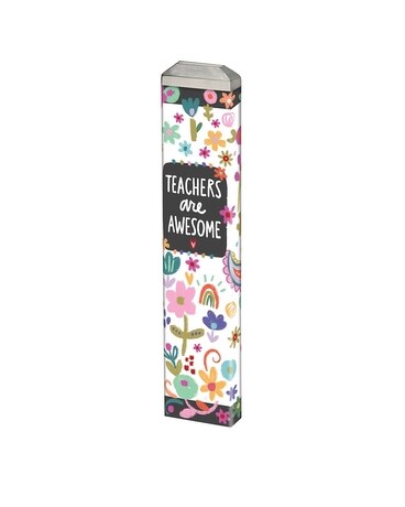Teachers are Awesome 13