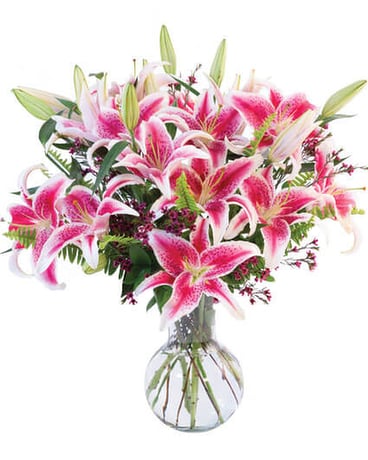 sincere stargazers Flower Arrangement