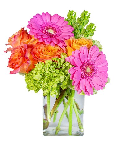 Rainbow Sherbet Flower Arrangement