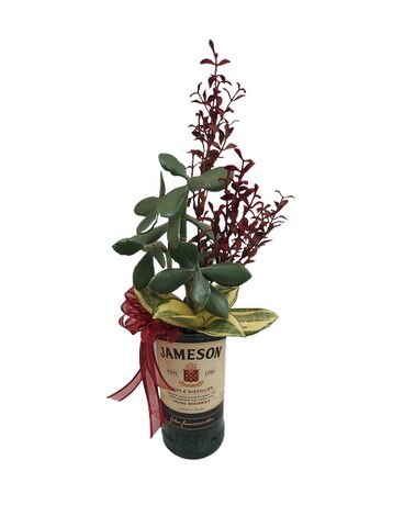 bottle of fun Plant
