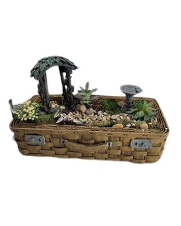 basket fairy garden Plant
