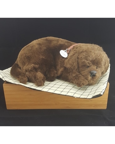 Chocolate Lab Gifts