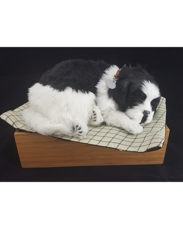 Border Collie Gifts