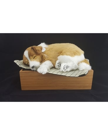 Collie Gifts