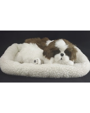 Shih tzu Gifts