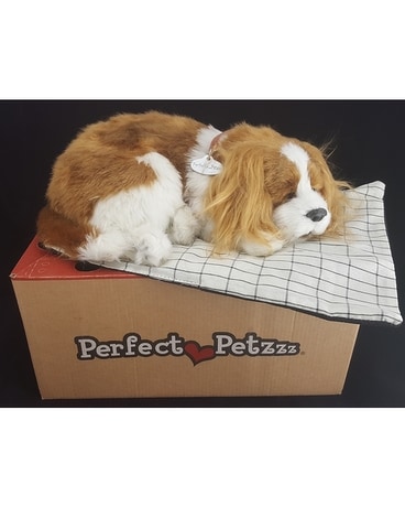 King Charles Gifts