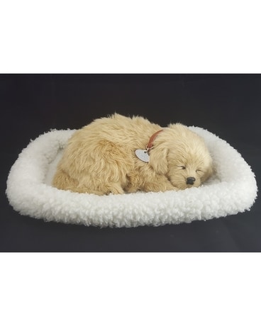 Golden Retriever Gifts