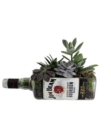 party with beam succulent garden Flower Arrangement