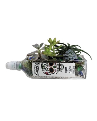 skull bottle succulent planter Flower Arrangement