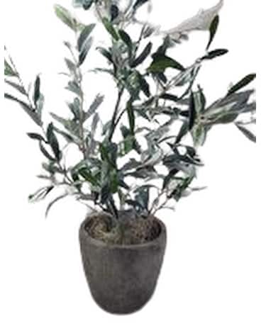 SILK olive branch bush Dried Flowers