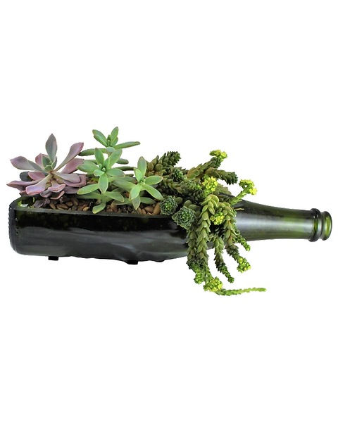 bridal shower favors succulents Succulent Cactus Bridal Shower Decorations Package Future Mrs. Bride t